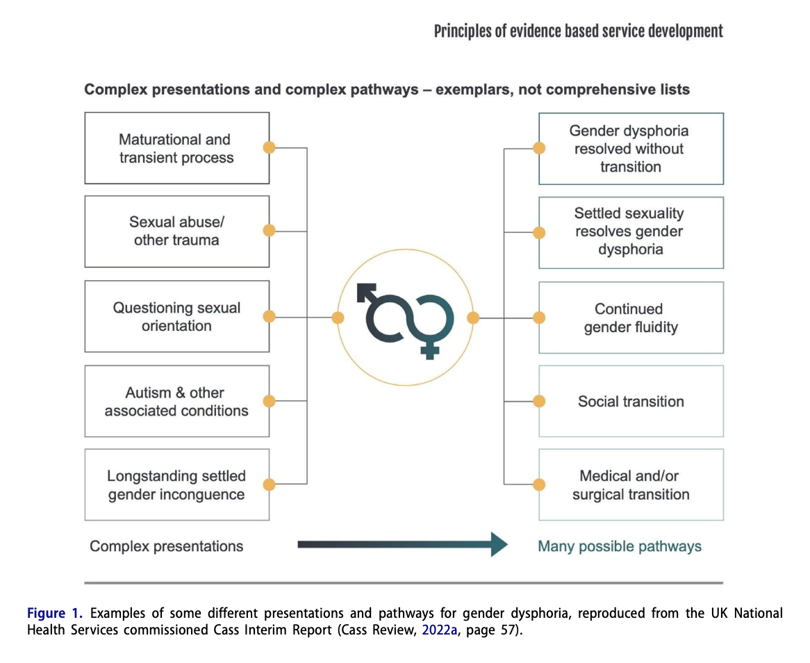 False Assumptions Behind Youth Gender Transitions SEGM